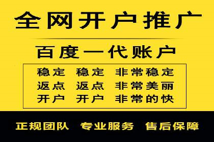 SEM推广实战：案例解析与策略探讨